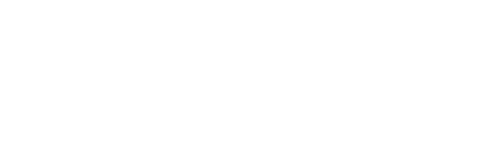 Vita Aesthetics Logo